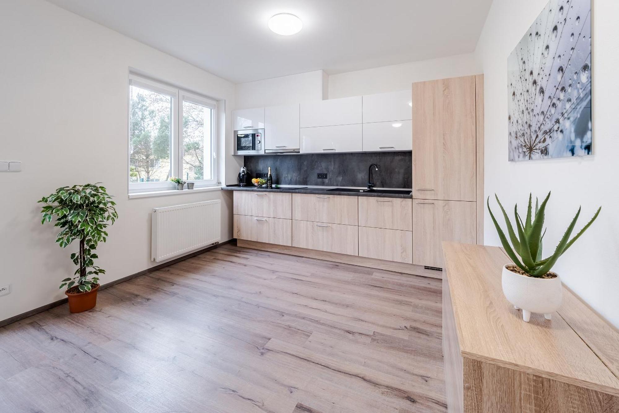 Private Luxury Apartments Frymburk Room photo