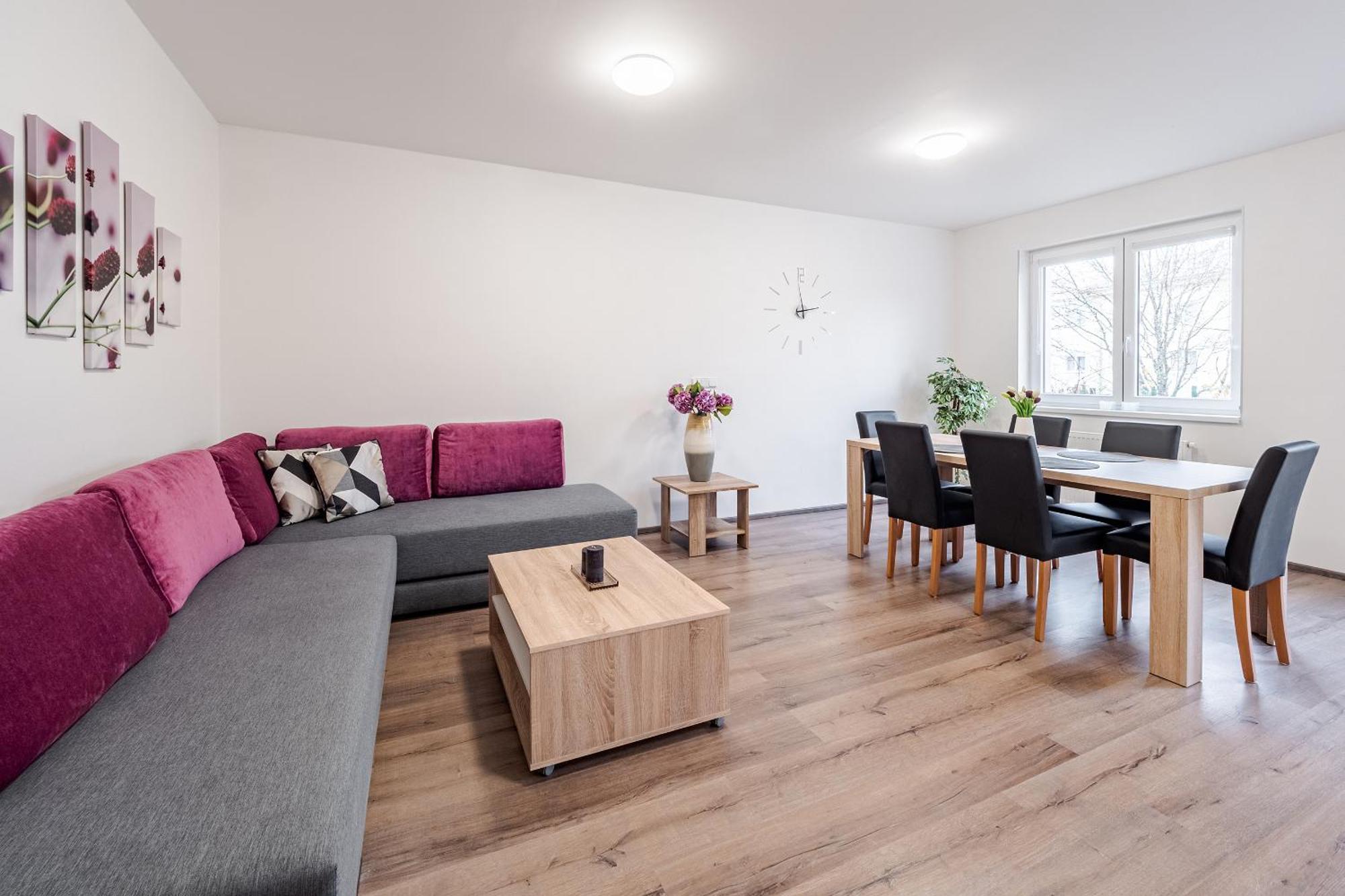 Private Luxury Apartments Frymburk Room photo